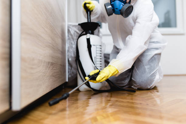 Best Affordable Pest Control Services  in Reynoldsville, PA