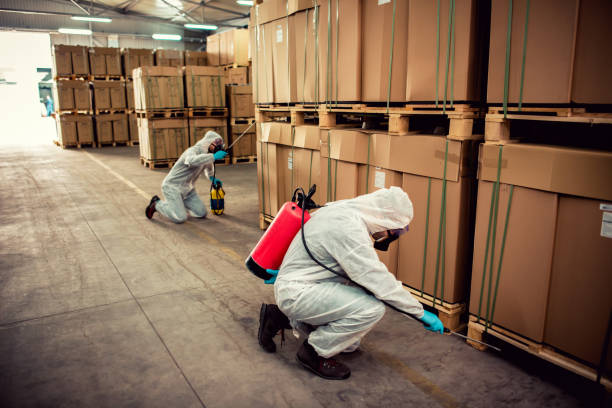 Best Affordable Pest Control Services  in Reynoldsville, PA