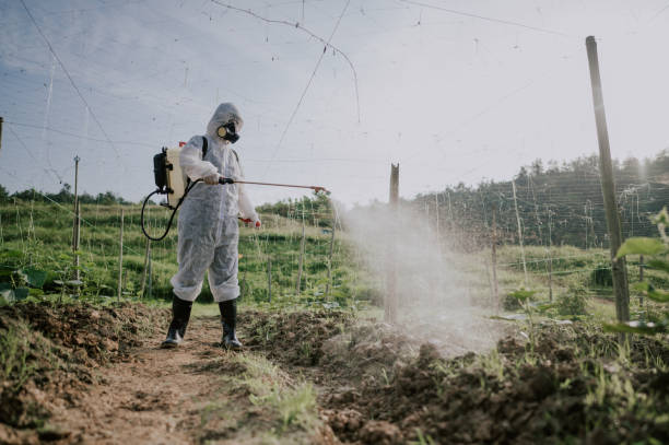 Best Mosquito Control Services  in Reynoldsville, PA