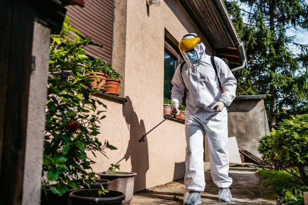 Best Commercial Pest Control Services  in Reynoldsville, PA
