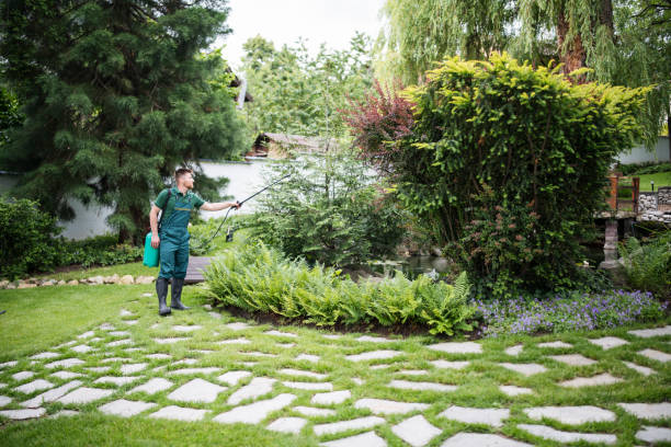 Best Ant Control Services  in Reynoldsville, PA
