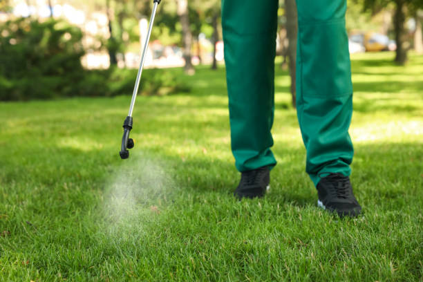 Flea Control Services in Reynoldsville, PA
