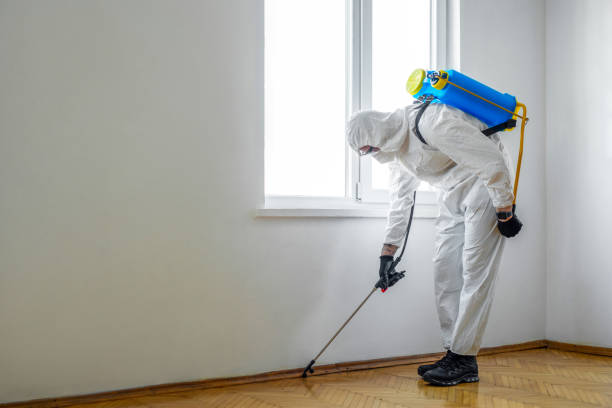 Wildlife Control Services in Reynoldsville, PA