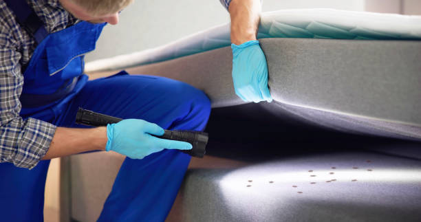 Best Pest Control for Businesses  in Reynoldsville, PA
