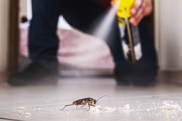 Best Pest Prevention Services  in Reynoldsville, PA